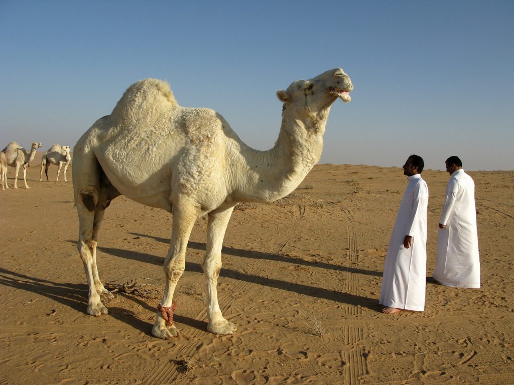 サウジアラビア